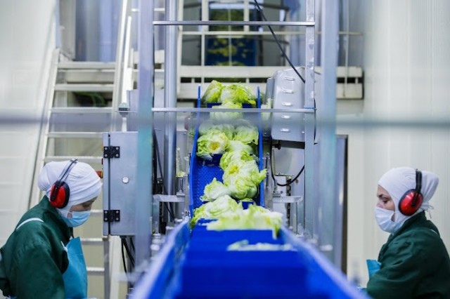Alcanzado un principio de acuerdo en el convenio colectivo de Verdifresh con alza salarial del 2,75%
