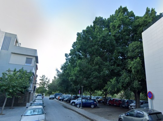 Elche prepara la próxima hornada de plataformas únicas por 1,5 millones en Raval y centro
