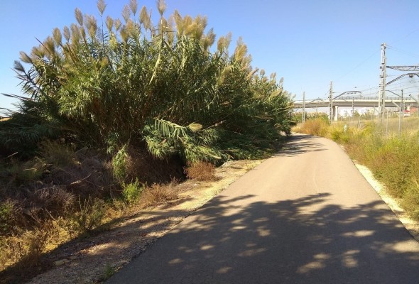 Convocadas las ayudas a entidades locales para obras de mejora de caminos rurales