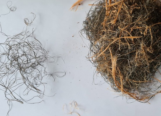 Un estudio de la UV en aves agrícolas demuestra que más del 70% de sus nidos contienen plásticos
