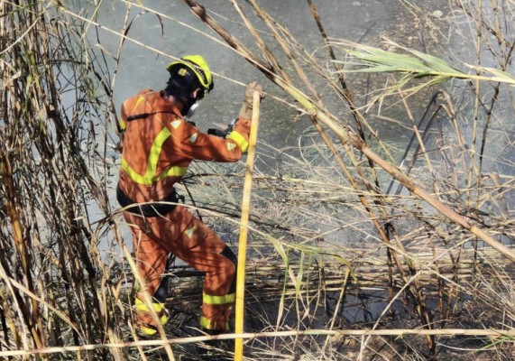 Riba-roja buscará captar fondos europeos para reforestar las zonas afectadas por los últimos incendios
