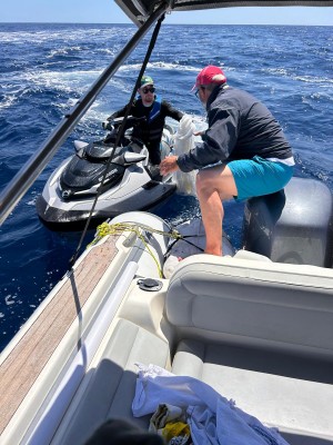 La Federación Valenciana de Motonáutica recoge 1.062 kilos de basura en el mar