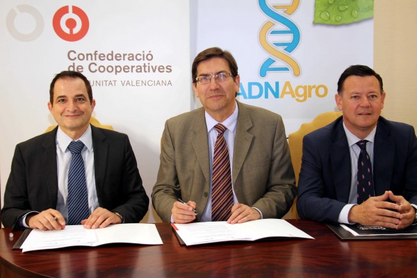 Grupo Cajamar financia a las 2.500 cooperativas de la Comunitat Valenciana
