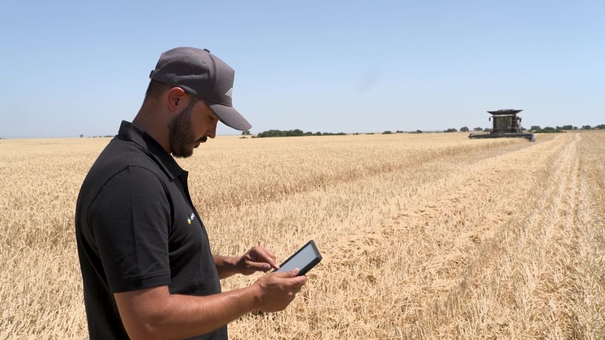 Grupo Gallo colabora en un proyecto de agricultura con IA para mejorar la producción de cereales
