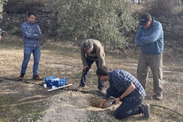 Un sistema de riego en Viver ahorra un 20% de agua sin mermar producción ni calidad del aceite