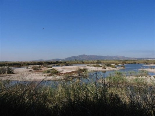 De la Marjal dels Moros al Malecón: las alegaciones en Sagunt contra la Ley de Costas Valencianas