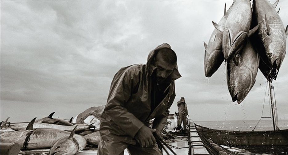 La Nau recupera fotografías de la técnica pesquera más antigua del mediterráneo