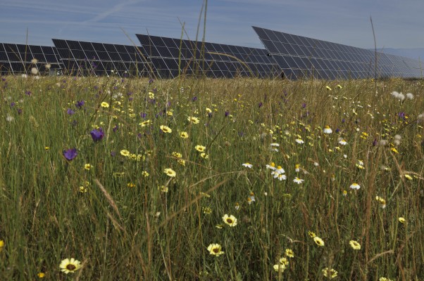 Statkraft pide licencia para activar Arada Solar en la Plana Baixa: no expropiará terrenos para  la planta