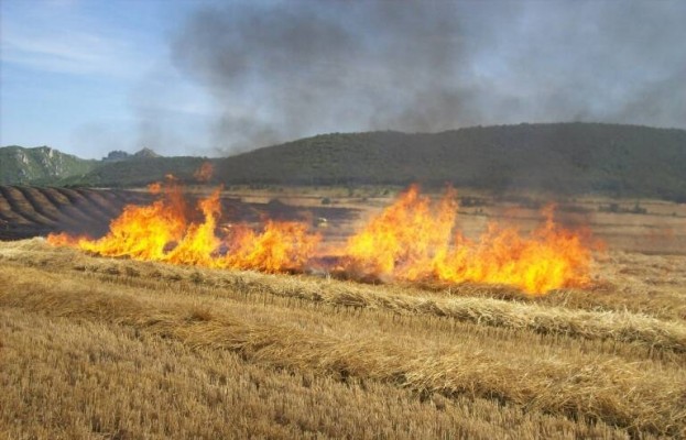 La Unió denuncia que la restricción de quemas convierte los campos en un foco de incendio
