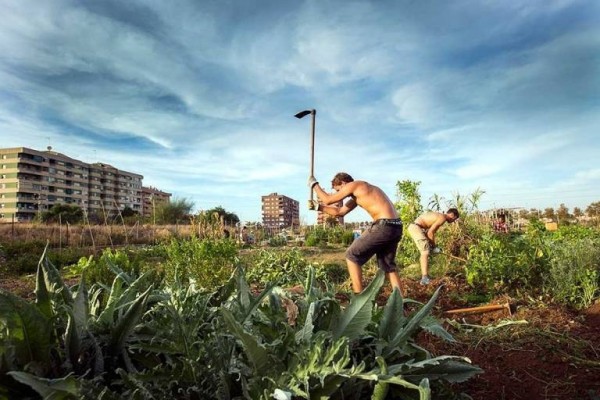 Agricultura destina más de 1,3 millones a la integración cooperativa agroalimentaria en 2024