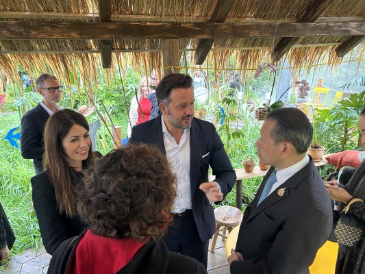 Elche expone su Palmeral en el festival ‘Jardins Jardin’ de París
