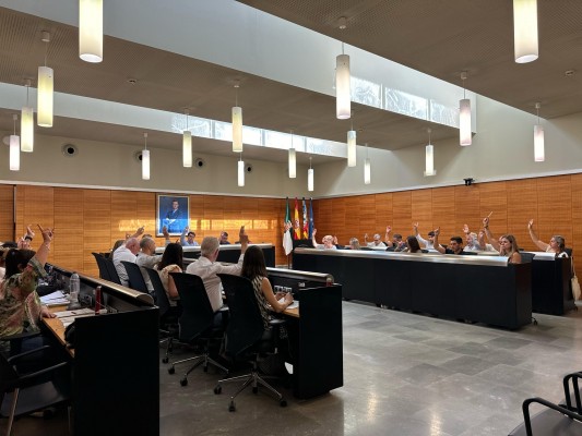 San Vicente aprueba el Plan local de residuos, paso previo para sacar el nuevo contrato de recogida