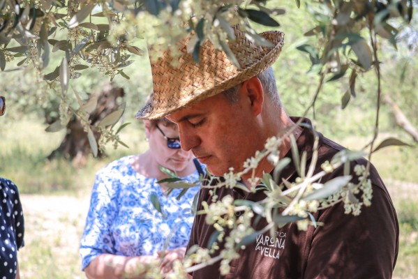 El Aove de Castellón Coupage Bio de Finca Varona la Vella se coloca entre los 100 mejores del mundo
