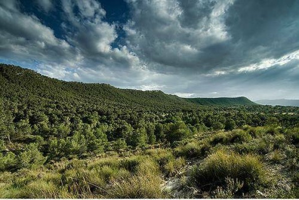 Cambiemos lleva al Pleno instar a la Consellería para que declare Sierra Escalona Parque Natural