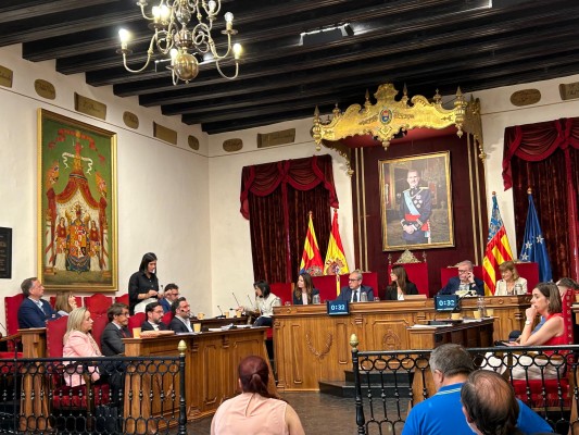 Unanimidad para hacer de Elche una ciudad amigable con el autismo