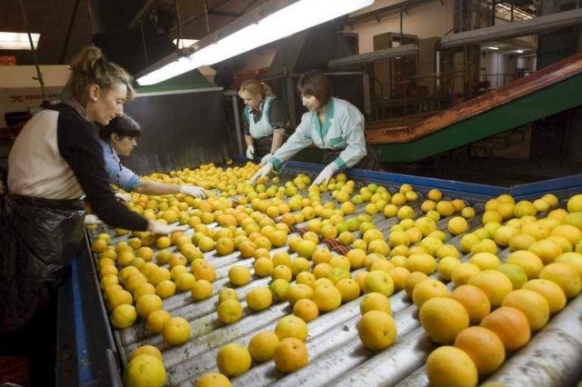 ¿Qué encaje tienen las cooperativas en la ley de la cadena alimentaria?
