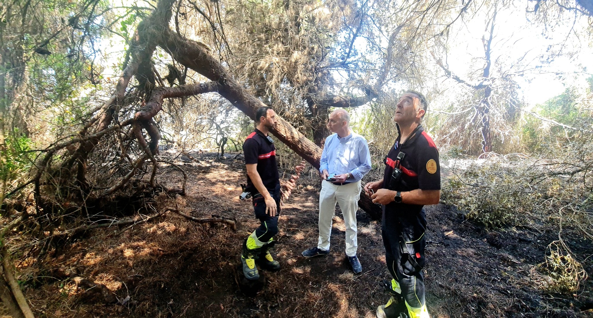 Gosálbez anuncia medidas de protección más estrictas en la Devesa tras un incendio