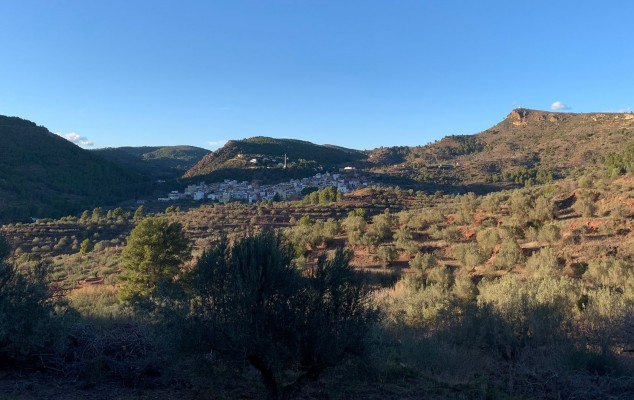 Las recetas contra la despoblación: teletrabajo, turismo rural o reducción de impuestos