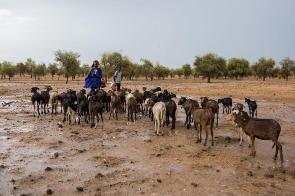 España se queda temporalmente sin embajador para el Sahel pese a ser una región prioritaria