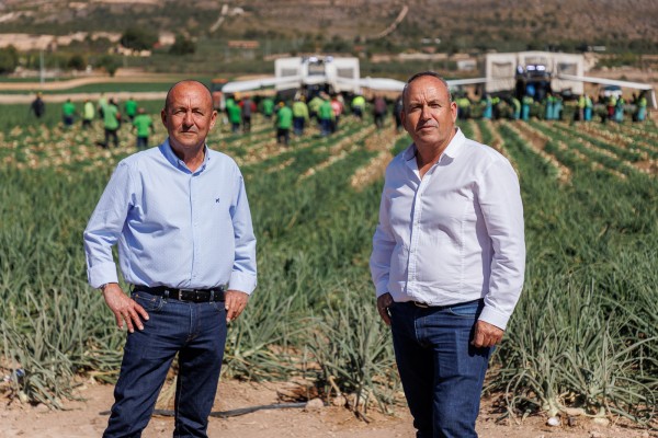 La alicantina Cebollas Javaloyes crecerá en una nueva plataforma propia y factura 17 millones 