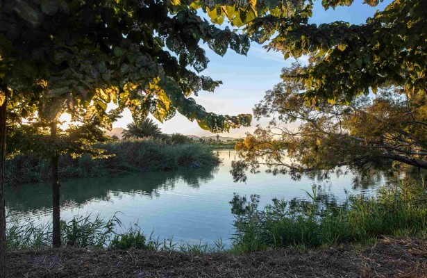 Nules inicia l'estiu descobrint el patrimoni natural
a través de la fotografia en família
