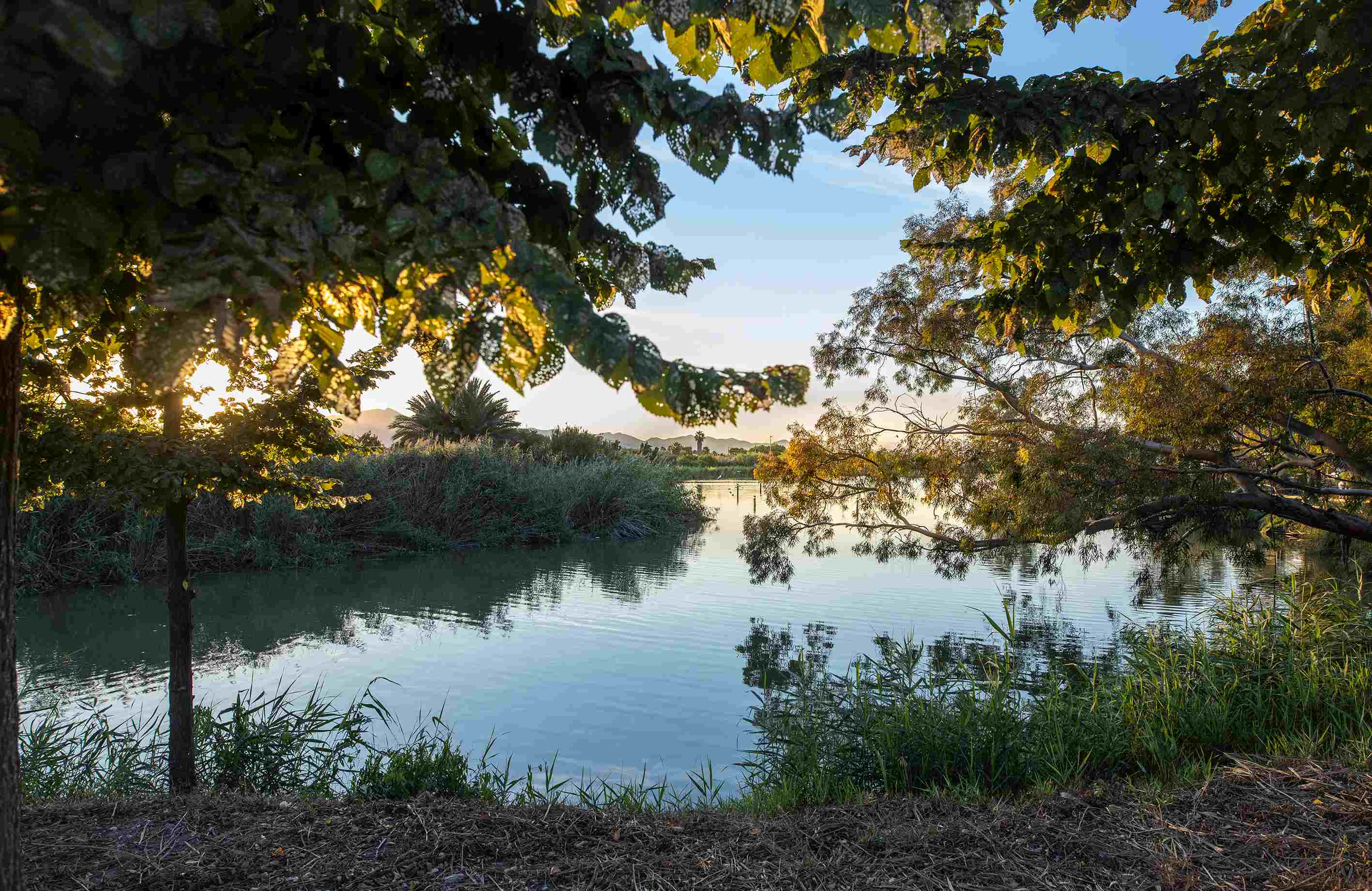 Nules inicia l'estiu descobrint el patrimoni natural
a través de la fotografia en família
