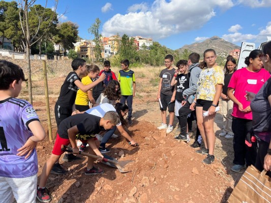La Vall d’Uixó impulsa una nueva plantación de árboles junto al cauce del río Belcaire