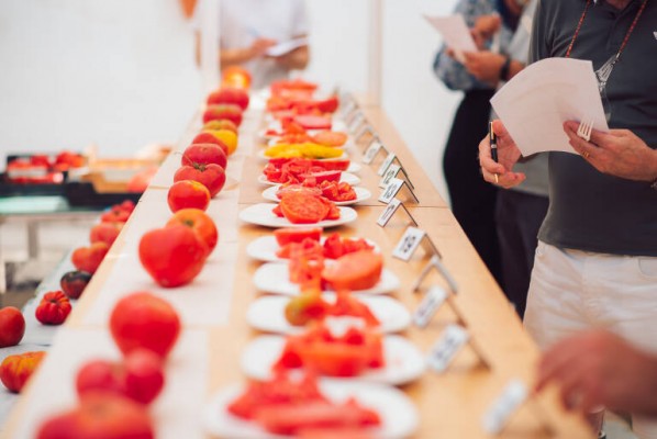 Rafelguaraf clausura la I Feria del Tomate con la venta 7.000 kilos de tomates 