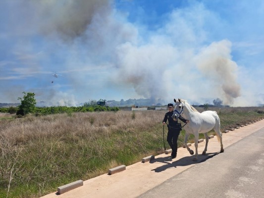 Riba-roja diseña un plan municipal para luchar contra los incendios del parque natural
