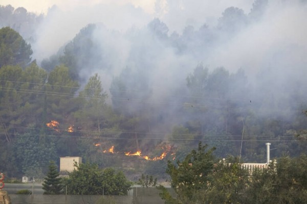 El Consell destinará 342.000 euros a mitigar la erosión del suelo del incendio de Montitxelvo