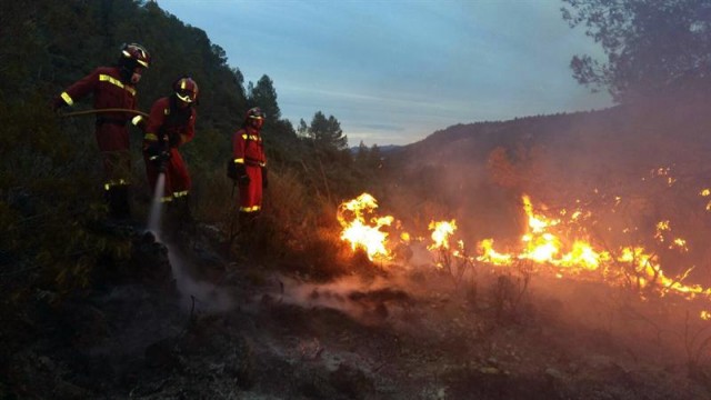 Una negligencia es la causa más probable del incendio forestal de Bolbaite