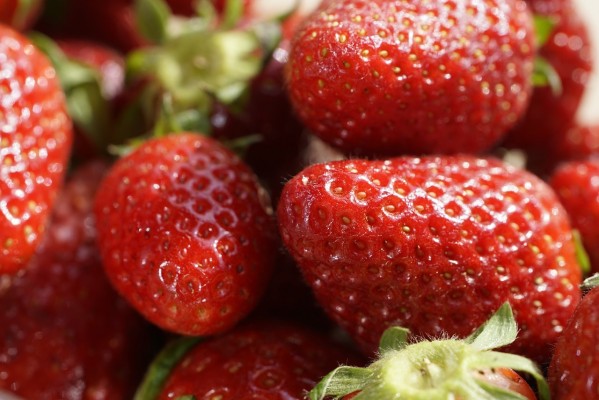 Un estudio subraya la importancia de controlar la seguridad alimentaria de verduras orgánicas