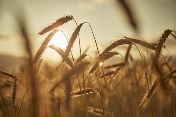 España habrá agotado este lunes los recursos naturales que le corresponden para este año