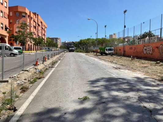La polémica por la tala en San Blas arrecia en Alicante: de la denuncia a la petición de informes
