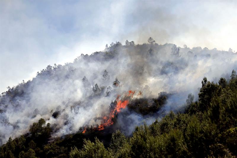 El incendio de Bolbaite quema a 1.535 hectáreas y el de Carcaixent 1.224