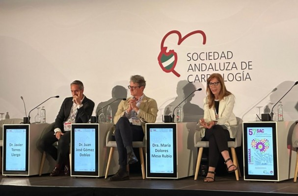 Los cardiólogos andaluces presentan un proyecto para prevenir la enfermedad vascular aterosclerótica, una de las principales causas de muerte en la región
