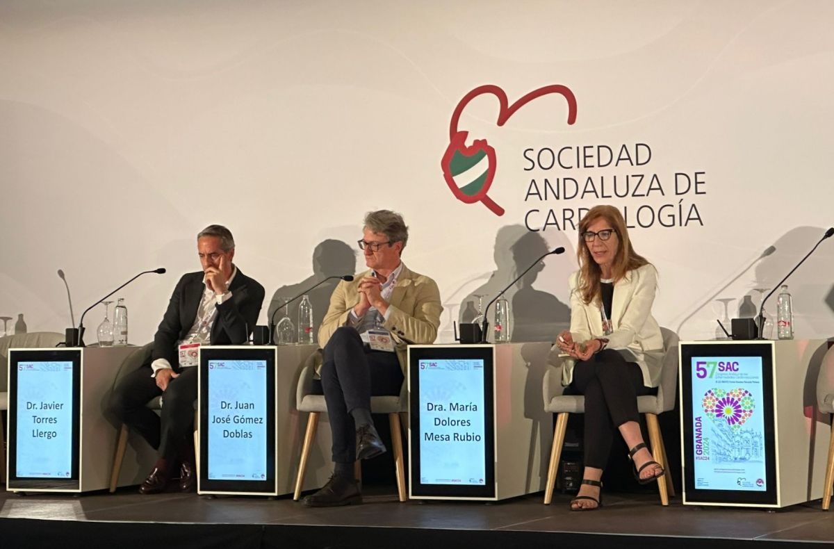 Los cardiólogos andaluces presentan un proyecto para prevenir la enfermedad vascular aterosclerótica, una de las principales causas de muerte en la región
