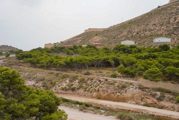 Concluyen las obras de acondicionamiento para la nueva ubicación del CATE y es ahora Interior quien ha de realizar el traslado