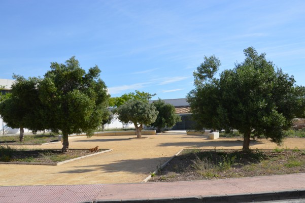 San Vicente celebra el Día de los Museos con una visita guiada al Museo Didáctico del Aceite

