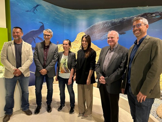 Jornadas de puertas abiertas, talleres y gratuidad por el Día Internacional de los Museos en Elche