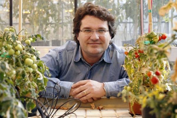 José M. Mulet: 