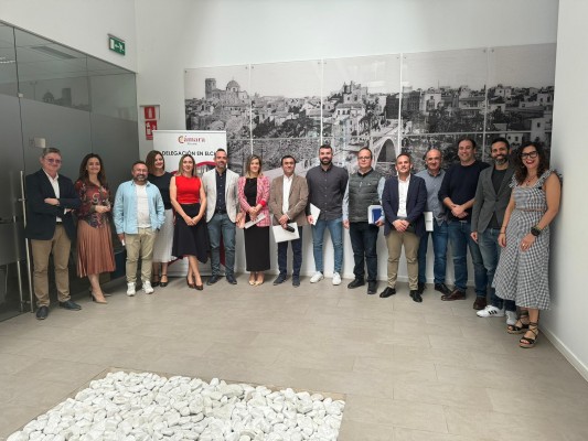 Las empresas de Elche, preocupadas por el taxi: piden más control, licencias estacionales y VTC