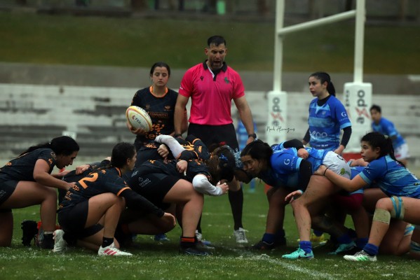 Les Abelles-La Cuina se queda a las puertas de la final de la División de Honor B femenina