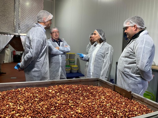 La Región de Murcia exportó el pasado año cerca de 6.000 toneladas de almendra 