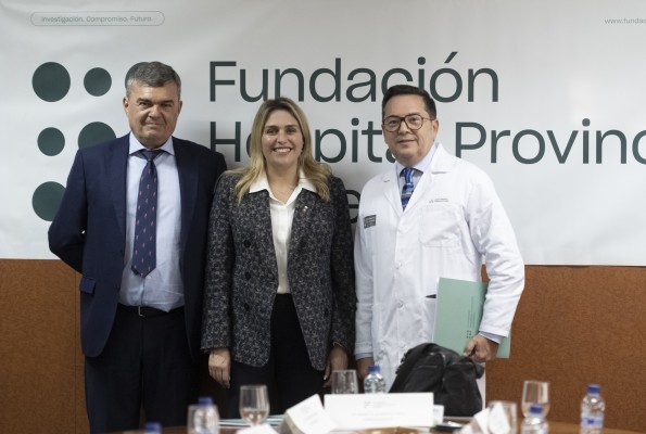 La Diputación reconoce la labor de la Fundación Hospital Provincial con el Mérito Solidario 