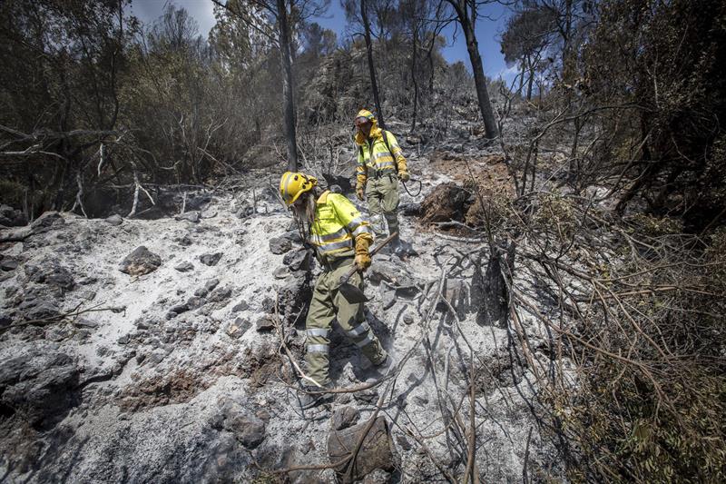 Detenido un menor por intentar encender un fuego junto al incendio de Carcaixent