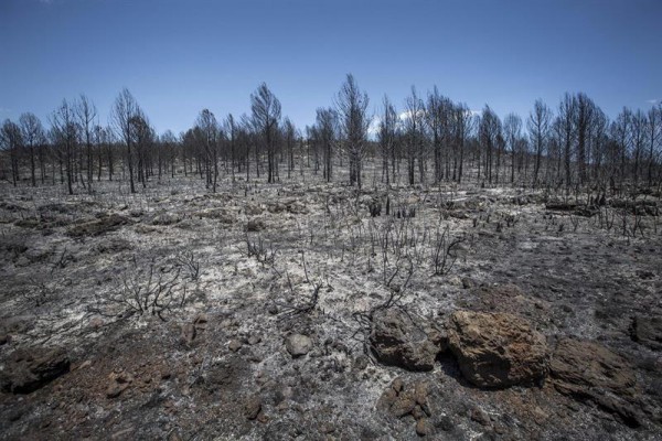 Estabilizado el fuego en Carcaixent, que ha arrasado más de 2.000 hectáreas