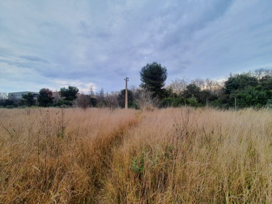 Abierto el plazo para solicitar el uso de 48 huertos urbanos próximos al Parque de la Rambleta