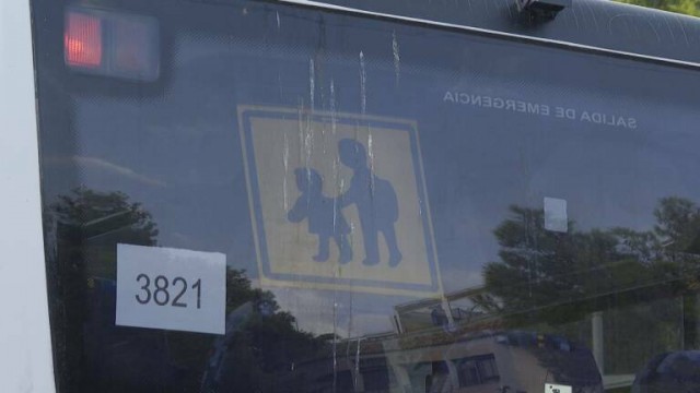 Las denuncias al transporte escolar del centro de Educación Especial de Torrent continúan