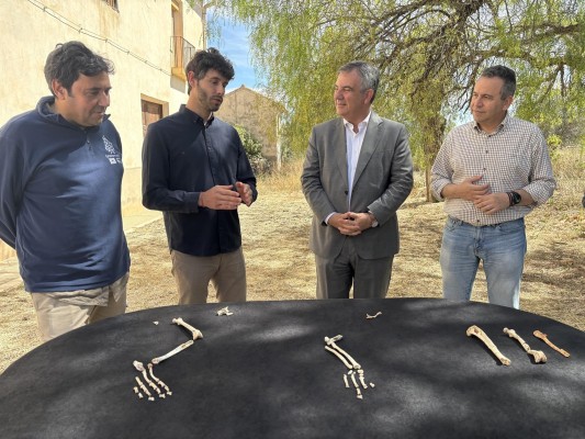 Descubren en Abanilla el esqueleto de lince ibérico más completo y antiguo del mundo
